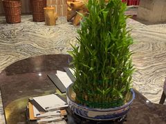 -徽宴楼·玫瑰之约(祥源店)