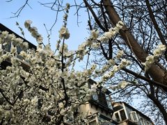 -龙湖星悦荟(颐和店)