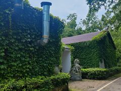 -青龙山国家森林公园