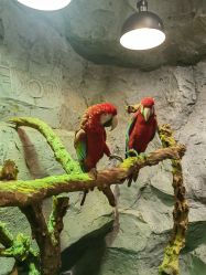 -Zoolung Zoolung动物主题公园(海信广场店)