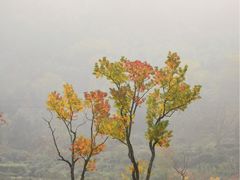 -塔川景区