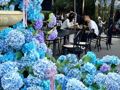 -DearCake 黛点心(花牌坊店)