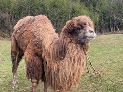 -武陵山森林公园