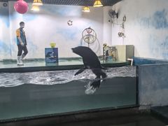 -嘉兴海底世界