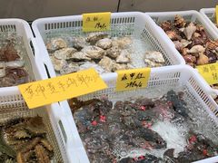 水产区-老虎滩船说·海胆水饺·大连海鲜(老虎滩店)