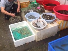 -马王堆海鲜水产市场
