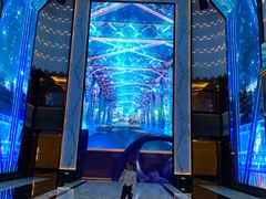 -上海苏宁宝丽嘉酒店·Cafe Bellagio西餐厅