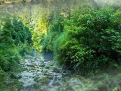 -峨眉山风景名胜区