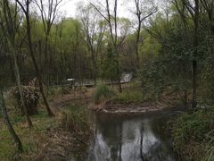 -西湖风景区-江洋畈生态公园