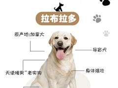 -艾贝尔宠物医院 ·中兽医·宠保定点(北门桥店)