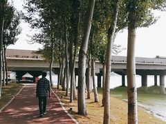 -丁香湖公园