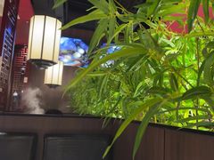 -山城辣妹子(定福庄店)