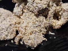 -铜锣湾·有麝自然香(重庆新天地店)