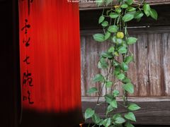 -普洱茶府(博乐广场店)