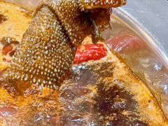 -大龙老火锅·总店(龙头寺店)