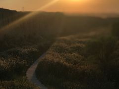 -水洞沟旅游区