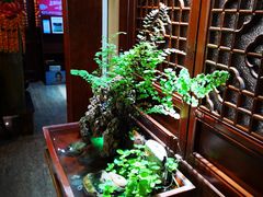 -露雨轩茶楼(牡丹园店)