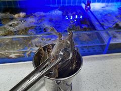 -四囍码头海鲜烧烤自助火锅(外滩南京东路悦荟广场店)