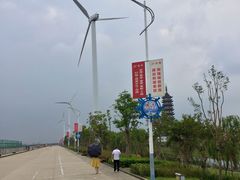 -奉贤海滩