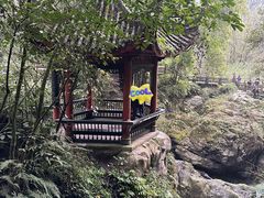 -峨眉山风景名胜区