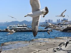 -星海广场