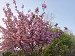 -漕湖湿地公园