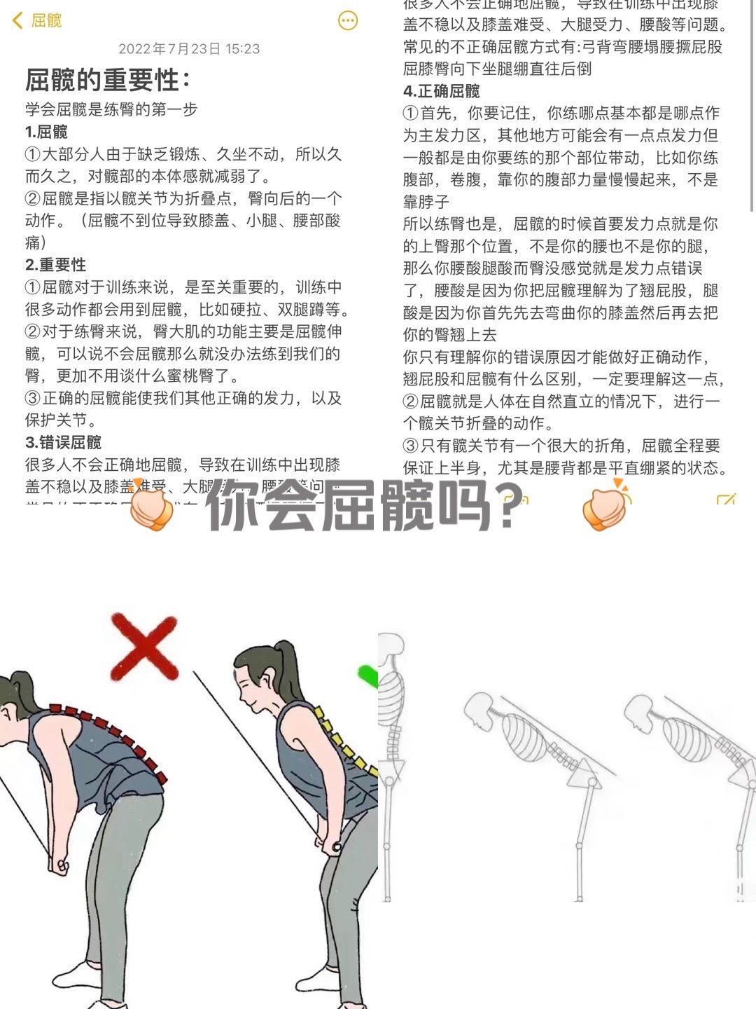 你会屈髋吗 ?