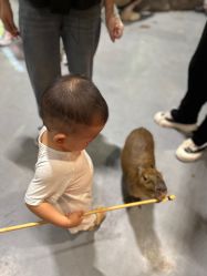 -Zoolung Zoolung动物主题公园(海信广场店)