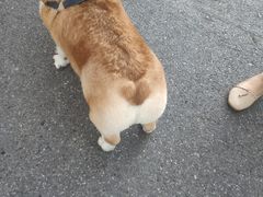 -长阳创谷
