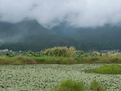 -腾冲北海湿地