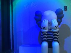 -Mr.Fox狐狸先生超级密室(南山店)