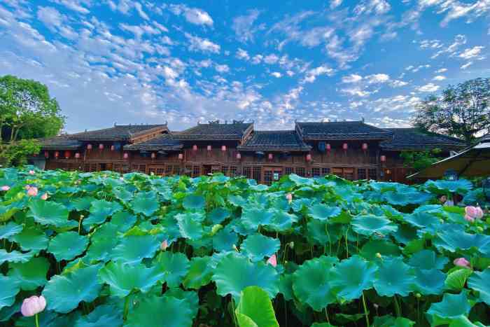 鲜龙井火锅公园南山店