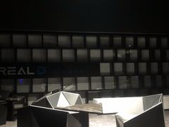 -奥斯卡升龙国际影城(RealD Cinema)