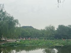 -南翠屏公园