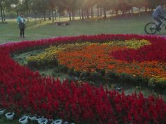 -艾溪湖湿地公园