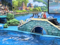 -海合安成都极地海洋公园