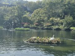 -杭州雅谷泉山庄酒店-餐厅