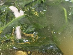 -老崇左特色风味食馆
