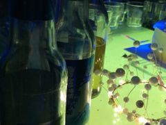 -汉密哈顿(解放路1段店)