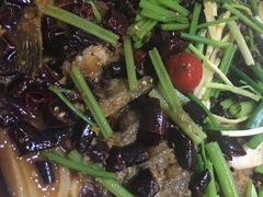 -老板恋上鱼(环山路店)