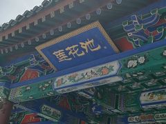 -莲花池公园