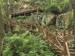 -大岭沟猕猴桃谷风景区