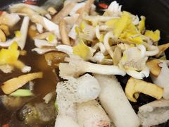 -菌乡缘·野生菌蒸汽鱼火锅(江边夜市店)