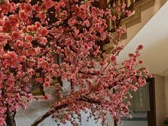-東大方(安吉灵芝店)
