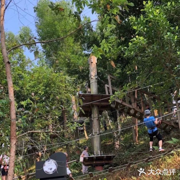 👍🏻解锁户外探险儿童乐园|来一次说走就走的探险之旅吧❗️