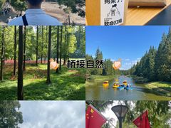 -黄海国家森林公园