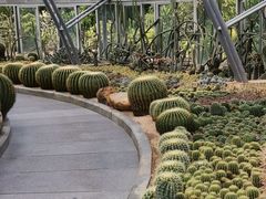 -深圳仙湖植物园