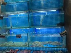 -老东镇啤酒屋海鲜加工·蒸汽海鲜·海鲜烧烤(台东店)