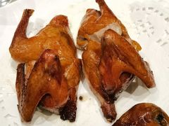 乳鸽-顺德佬(五和店)