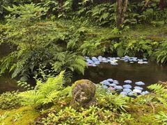 -三千院
